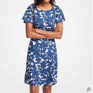 EUC Ann Taylor Dress Sz 8P